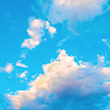 Bluesky APP