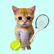 Cat Tennis Champion APK