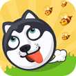 Crazy Dog Earning APP