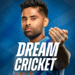 Dream Cricket 24 APK
