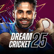 Dream Cricket 25 APK (RC 25)