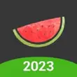 Melon VPN Premium Free APK