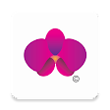 Mi Pedido Arabela APP