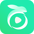 Pockettoon Premium APK