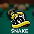 Snake 8 Ball Pool APK