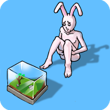 Weird Aquarium APK