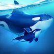 World Of Water APK