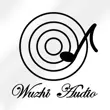 Wuzhi Audio APP
